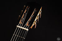 Siccas Luthiers - Legacy Doubletop Spruce 64 cm