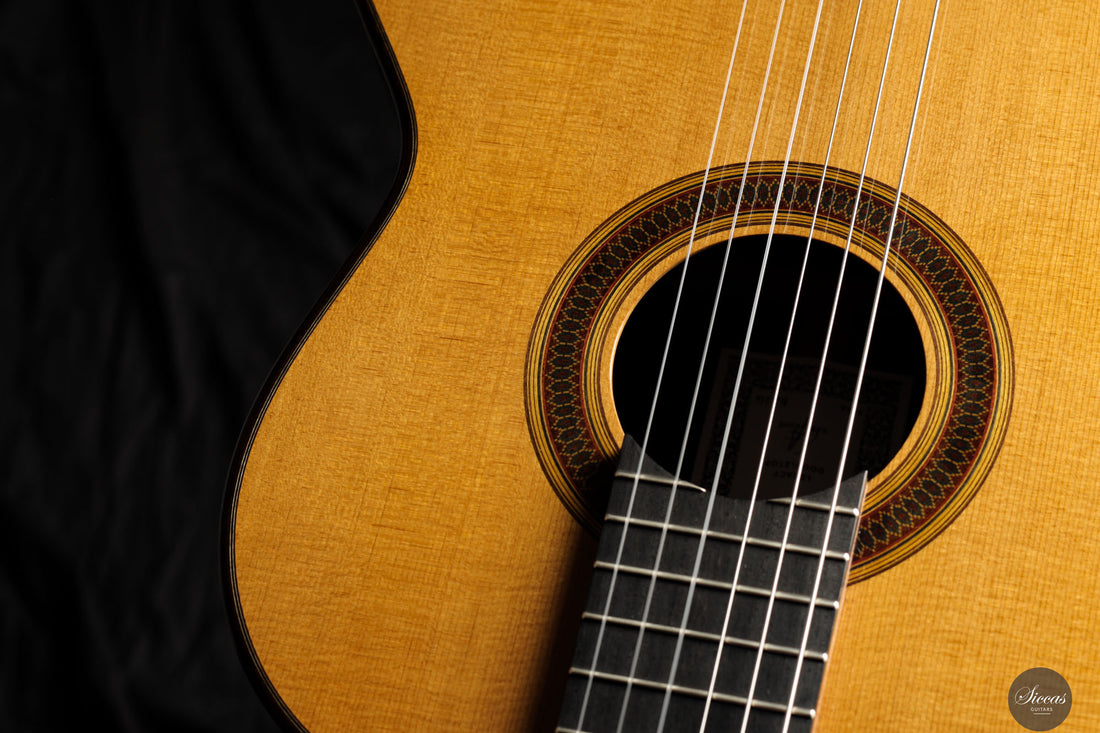 Siccas Luthiers - Legacy Doubletop Spruce - Front view