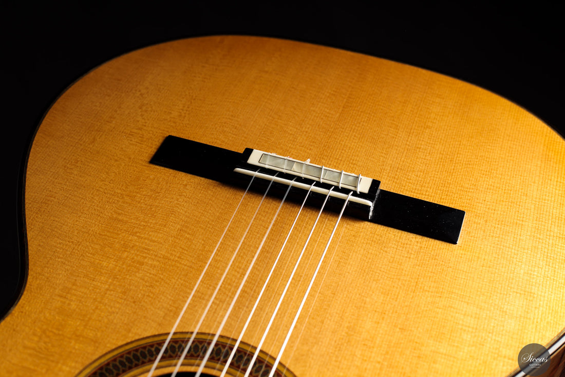 Siccas Luthiers - Legacy Doubletop Spruce 64 cm - Front view