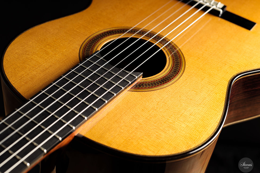 Siccas Luthiers - Legacy Doubletop Spruce