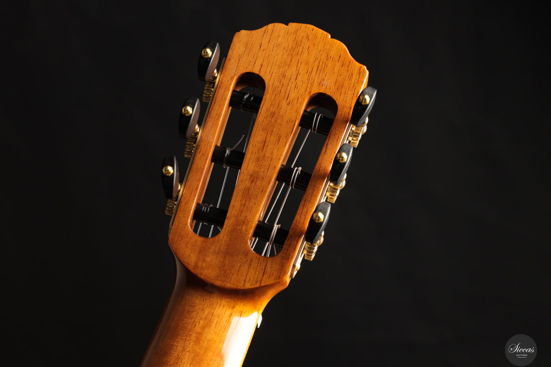 Siccas Luthiers - Recital Contemporary Doubletop Lattice Cedar