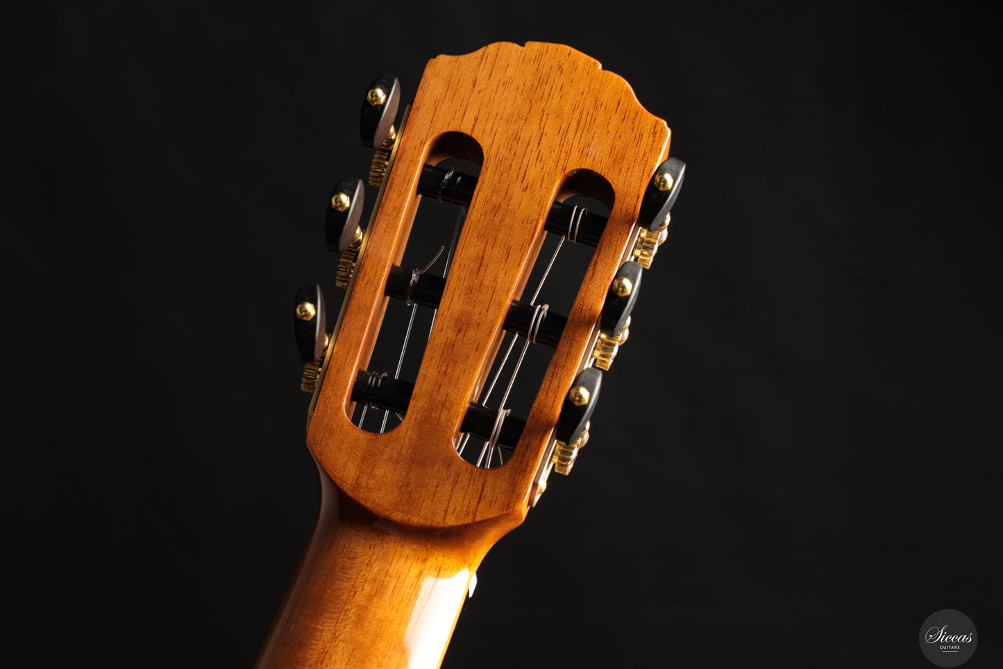 Siccas Luthiers - Recital Contemporary Doubletop Lattice Cedar