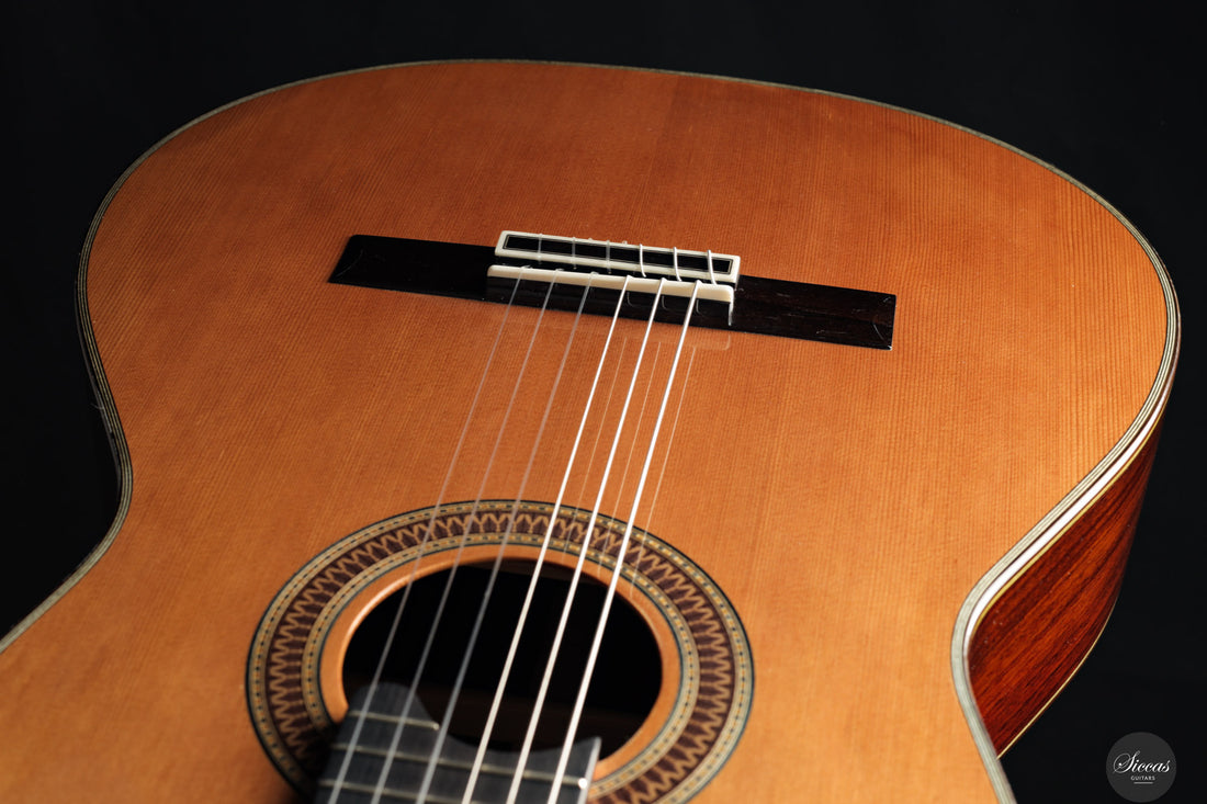 Siccas Luthiers - Recital Contemporary Doubletop Lattice Cedar 64 cm