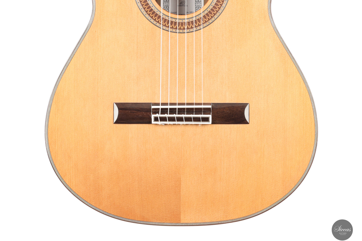Siccas Luthiers - Recital Contemporary Doubletop Lattice Cedar 64 cm