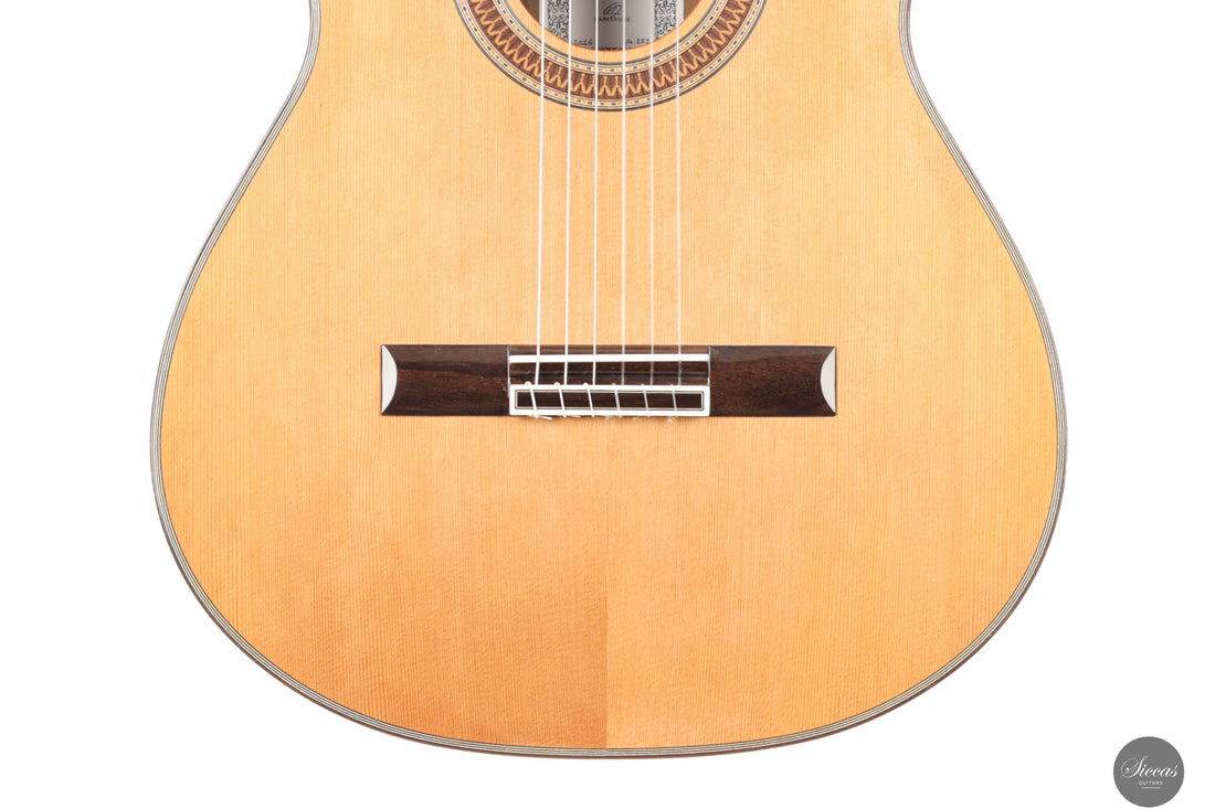 Siccas Luthiers - Recital Contemporary Doubletop Lattice Cedar