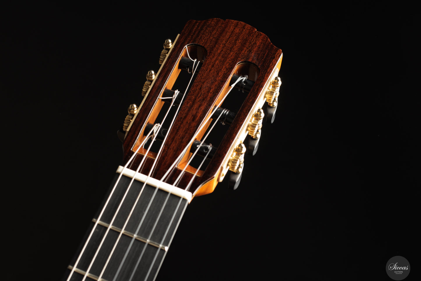 Siccas Luthiers - Recital Contemporary Doubletop Lattice Spruce 64 cm