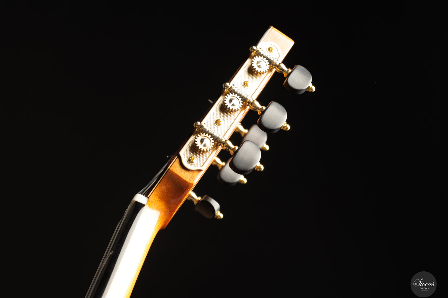 Siccas Luthiers - Recital Contemporary Doubletop Lattice Spruce 64 cm