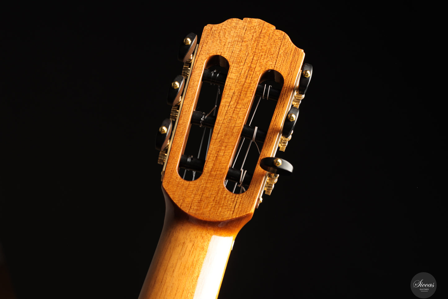 Siccas Luthiers - Recital Contemporary Doubletop Lattice Spruce