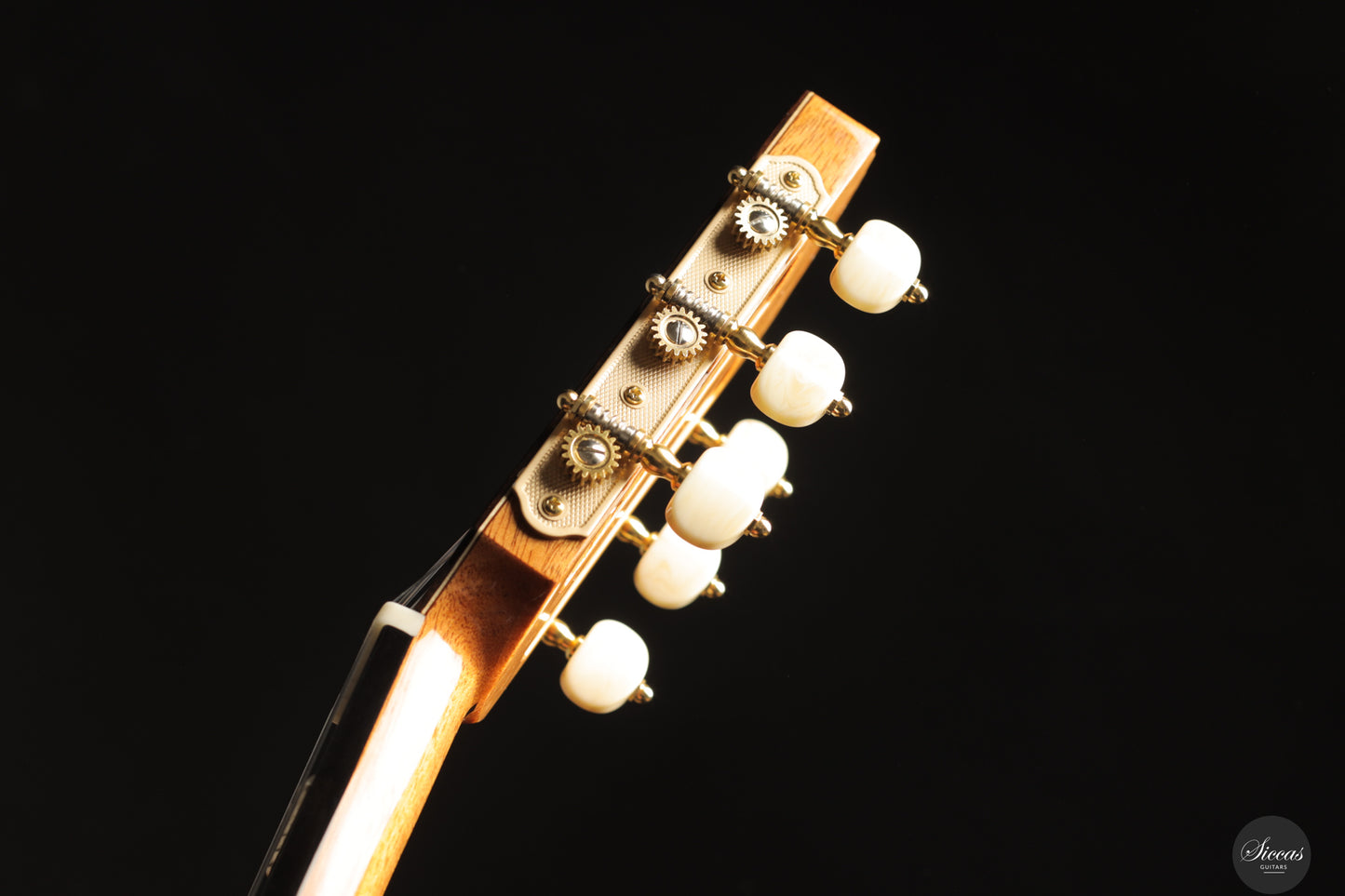 Siccas Luthiers - Recital Traditional Spruce 64 cm