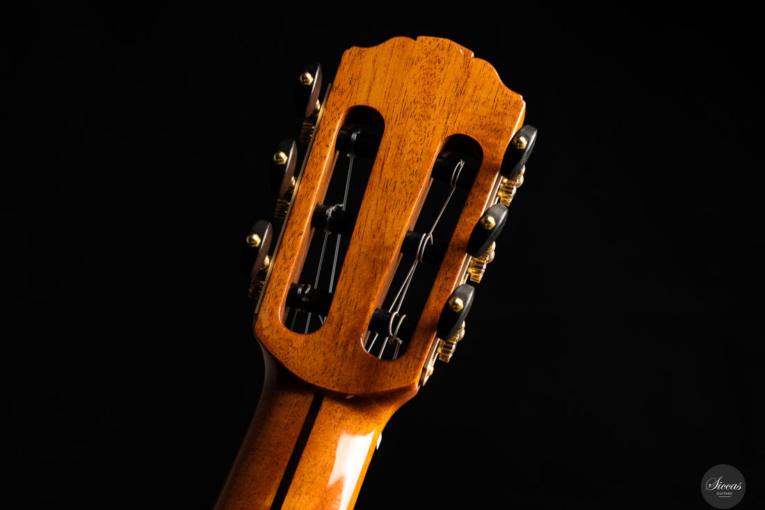 Siccas Luthiers - Recital Traditional Cedar