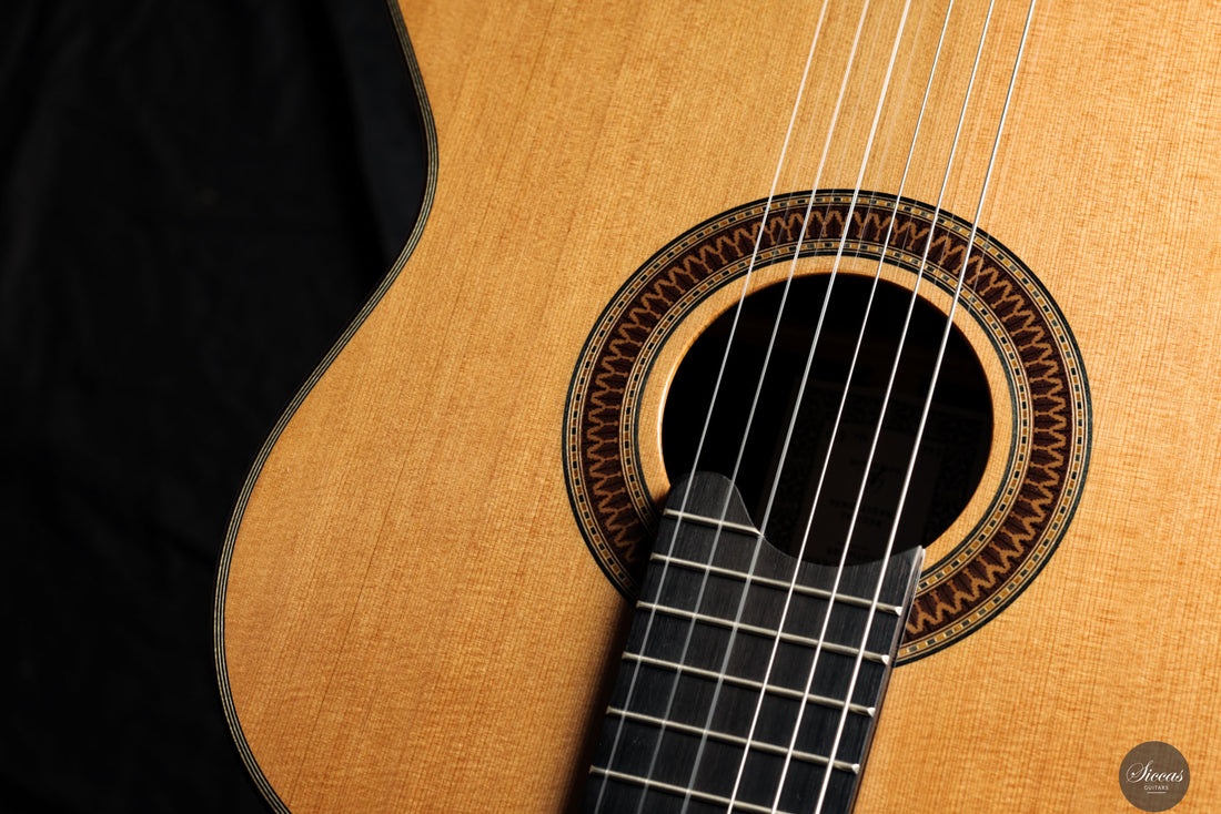Siccas Luthiers - Recital Traditional Cedar