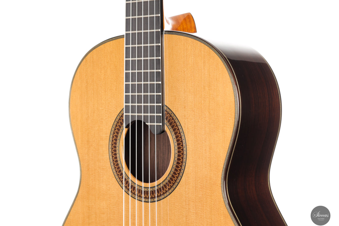 Siccas Luthiers - Recital Traditional Cedar 64 cm