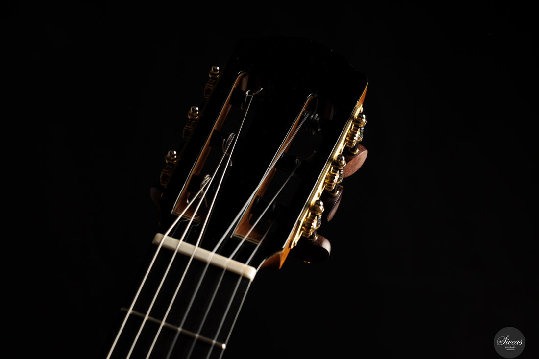 Siccas Luthiers - Synthesis Doubletop Cedar