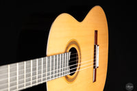 Siccas Luthiers - Synthesis Doubletop Cedar