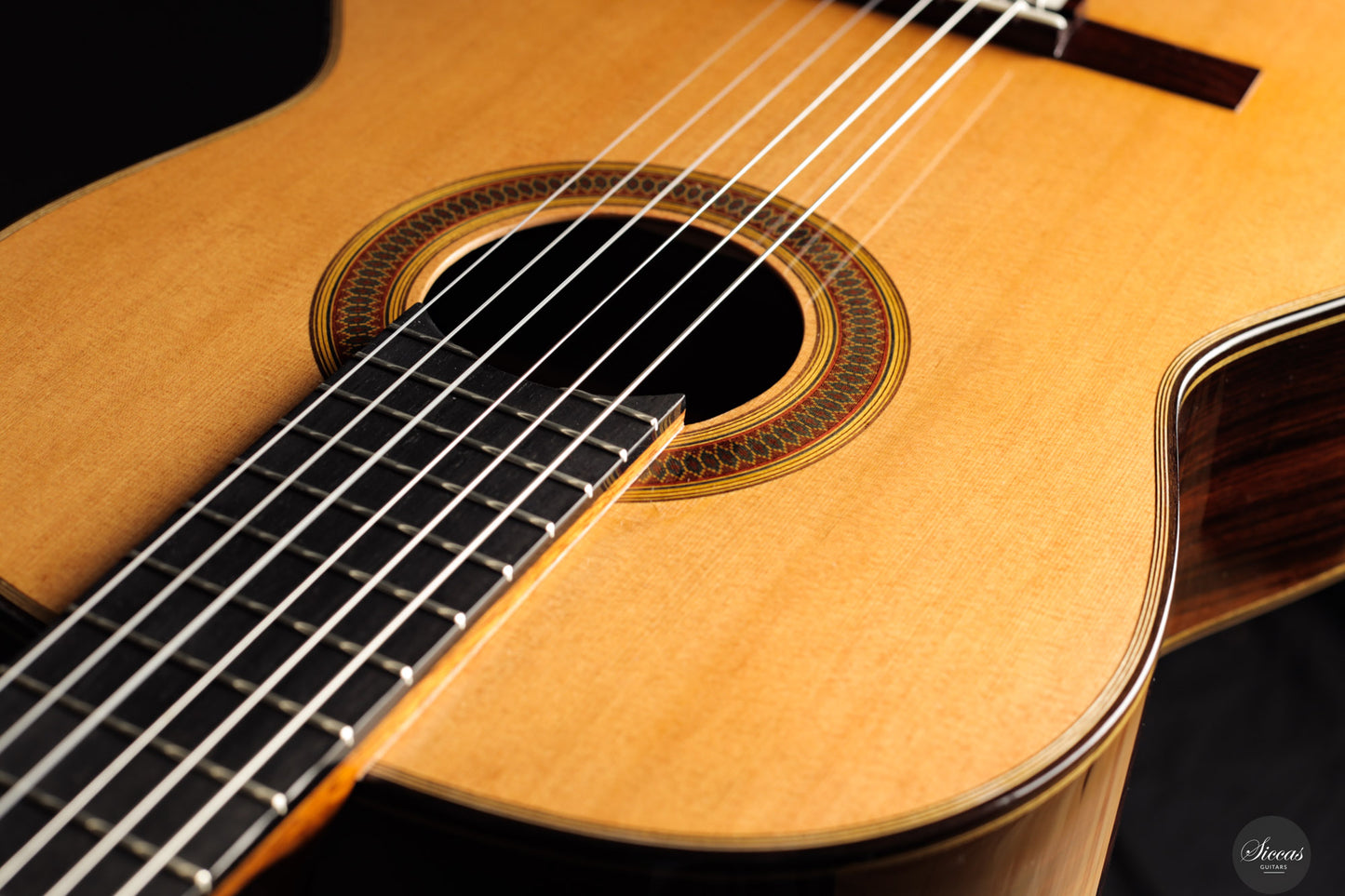 Siccas Luthiers - Synthesis Doubletop Cedar