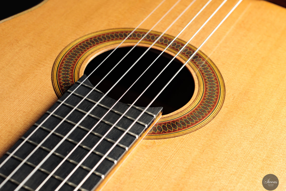 Siccas Luthiers - Synthesis Doubletop Cedar