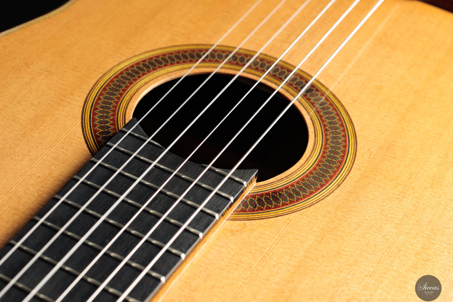 Siccas Luthiers - Synthesis Doubletop Cedar