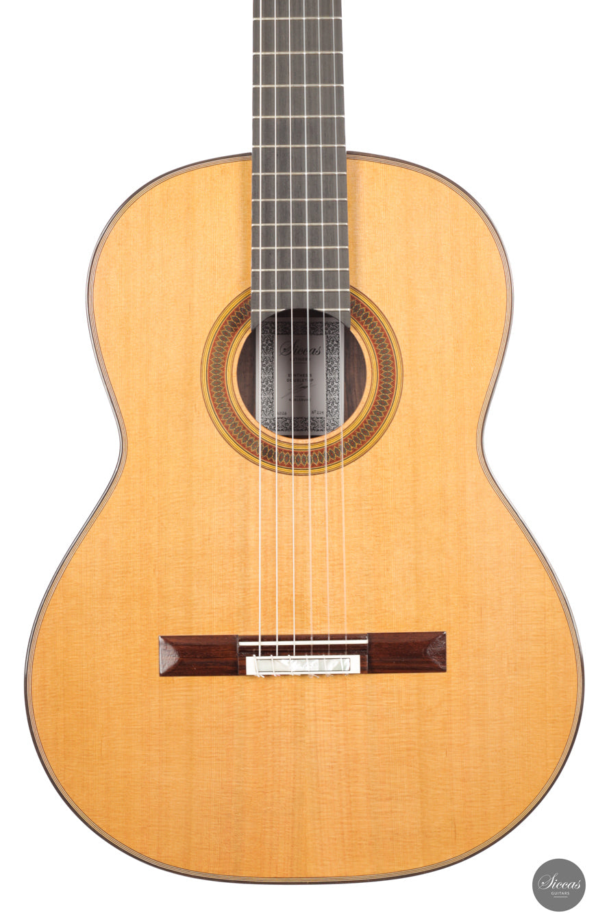Siccas Luthiers - Synthesis Doubletop Cedar