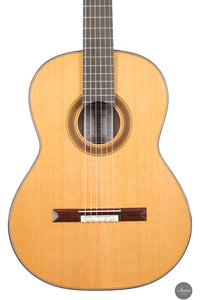 Siccas Luthiers - Synthesis Doubletop Cedar