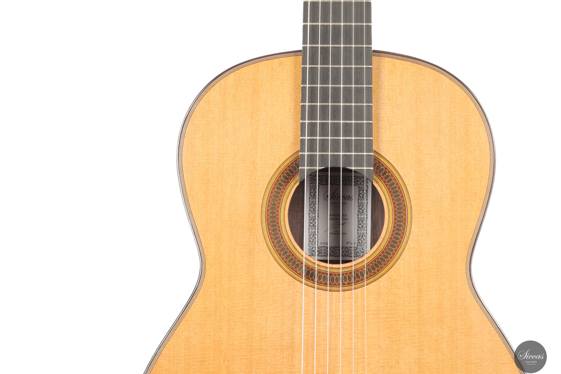 Siccas Luthiers - Synthesis Doubletop Cedar