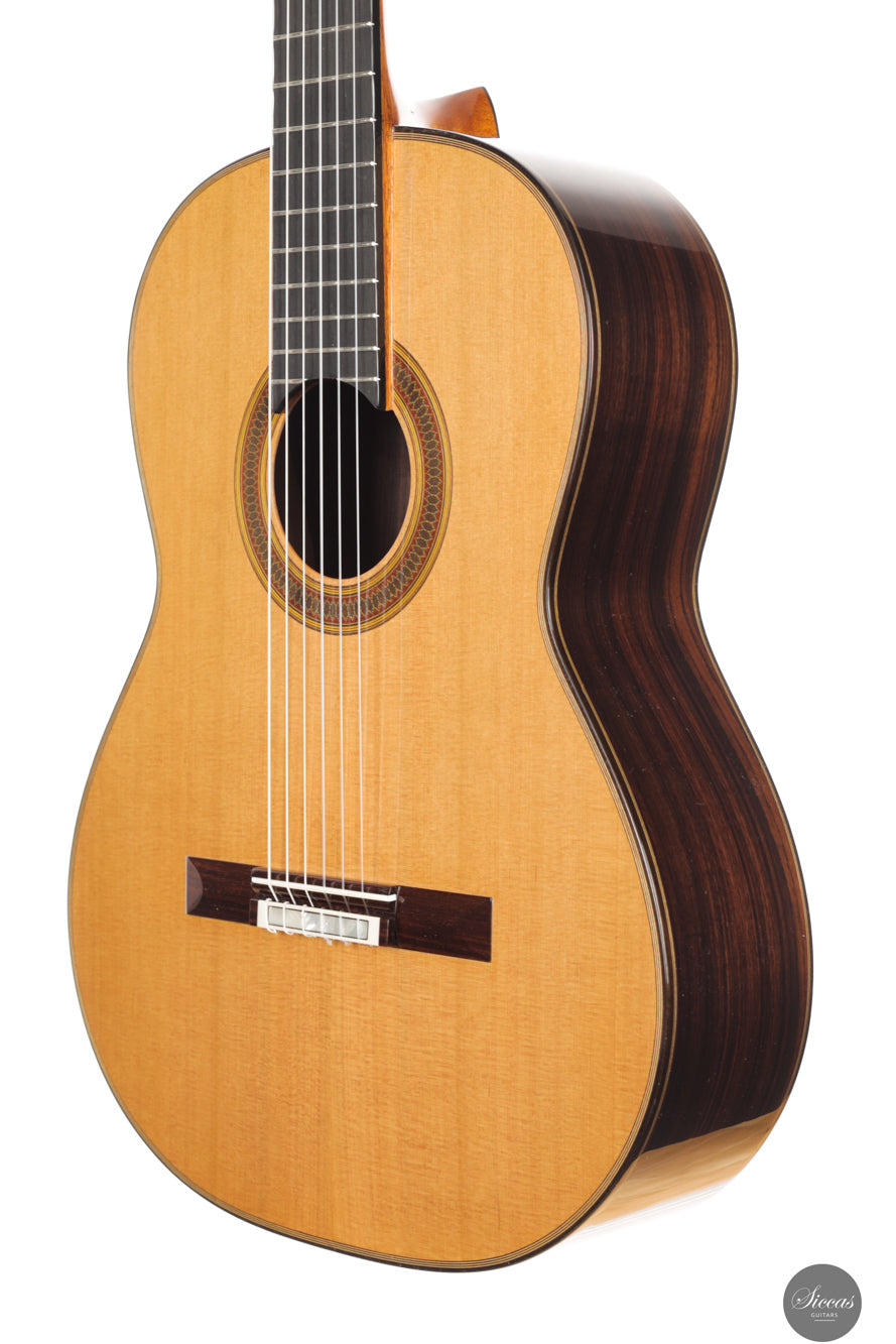 Siccas Luthiers - Synthesis Doubletop Cedar