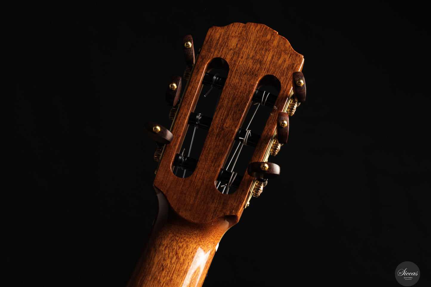 Siccas Luthiers - Synthesis Doubletop Cedar