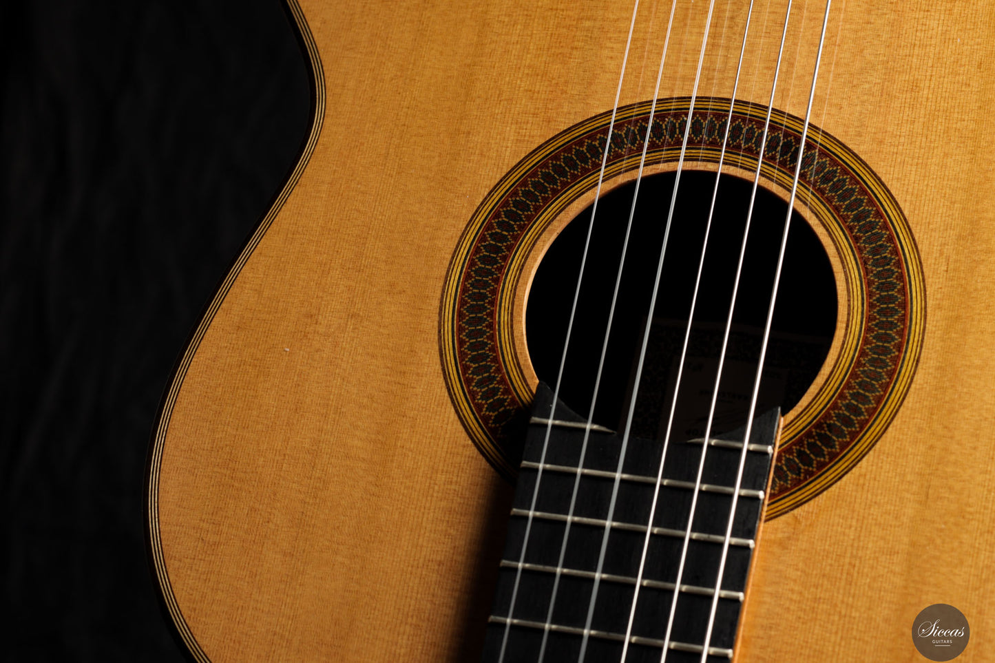 Siccas Luthiers - Synthesis Doubletop Cedar