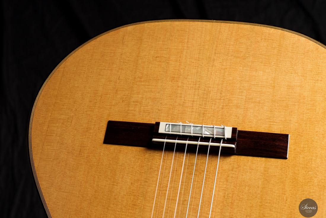 Siccas Luthiers - Synthesis Doubletop Cedar