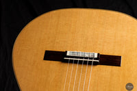 Siccas Luthiers - Synthesis Doubletop Cedar