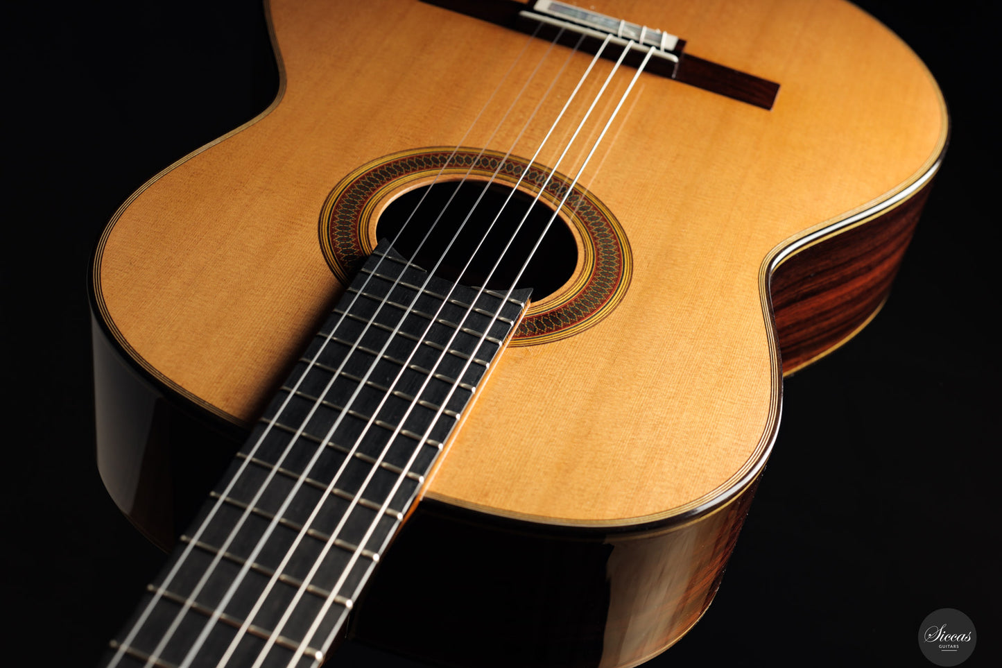 Siccas Luthiers - Synthesis Doubletop Cedar