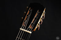 Siccas Luthiers - Synthesis Doubletop Spruce
