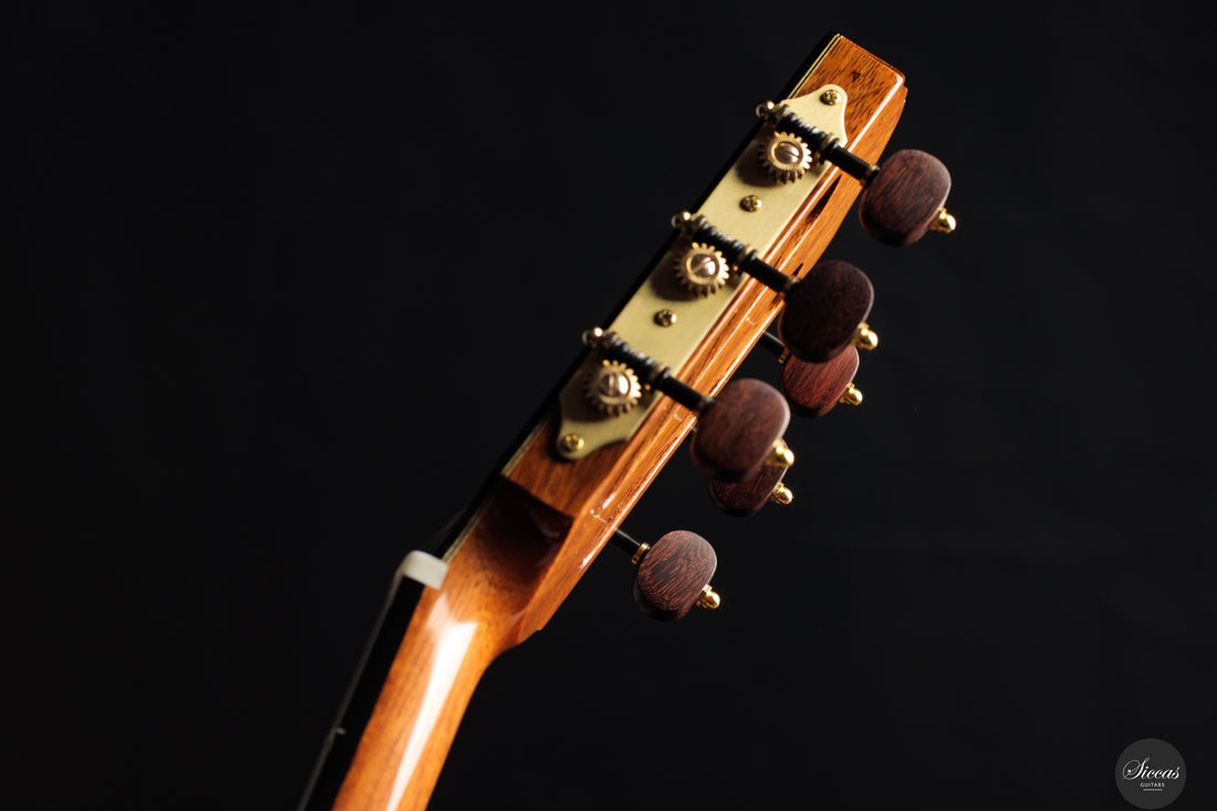 Siccas Luthiers - Synthesis Doubletop Spruce
