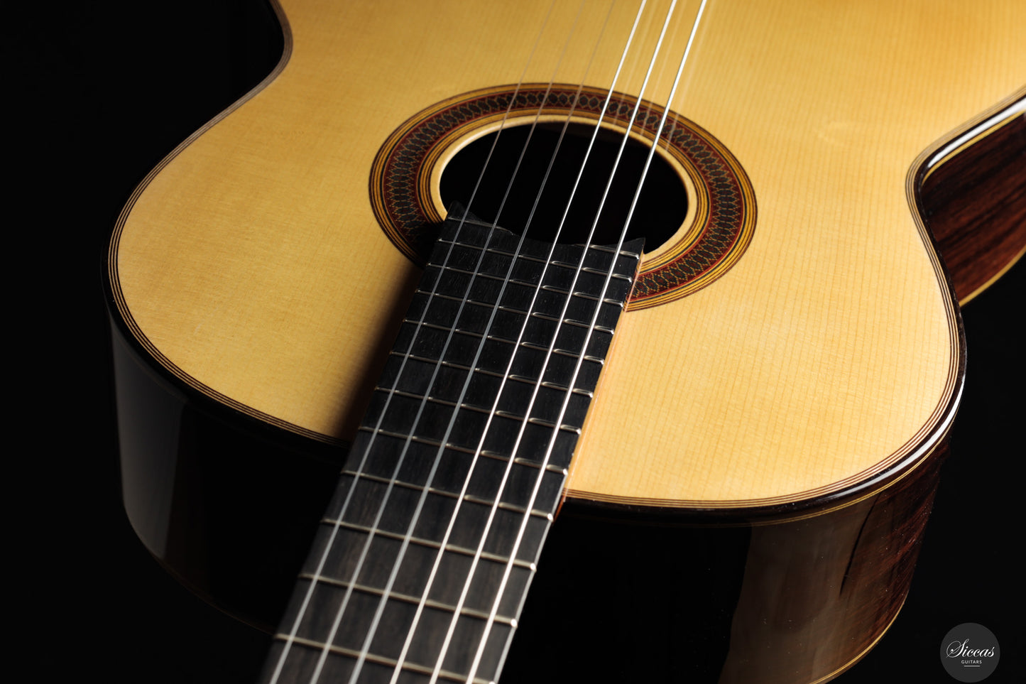 Siccas Luthiers - Synthesis Doubletop Spruce