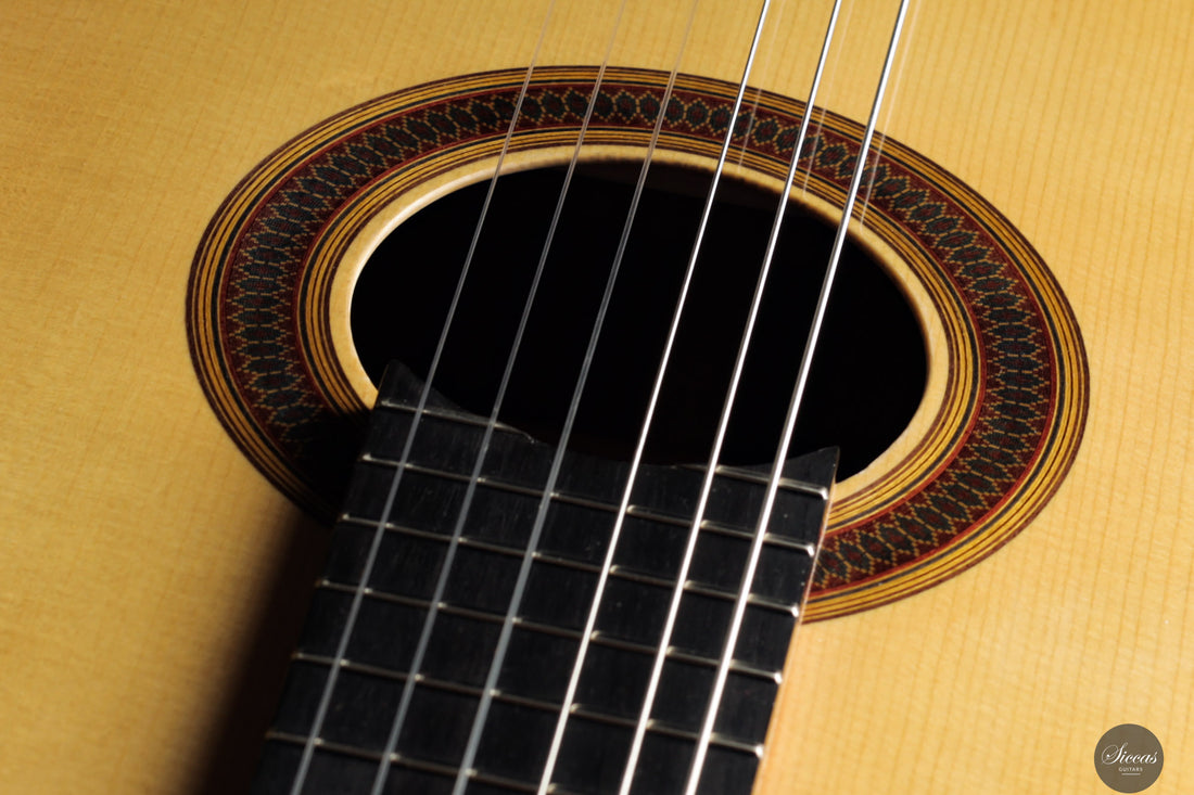 Siccas Luthiers - Synthesis Doubletop Spruce