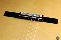 Siccas Luthiers - Synthesis Doubletop Spruce