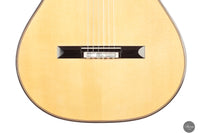 Siccas Luthiers - Synthesis Doubletop Spruce