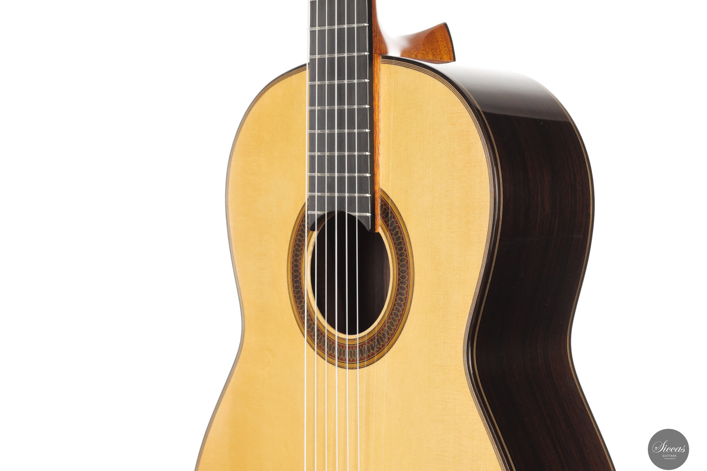 Siccas Luthiers - Synthesis Doubletop Spruce