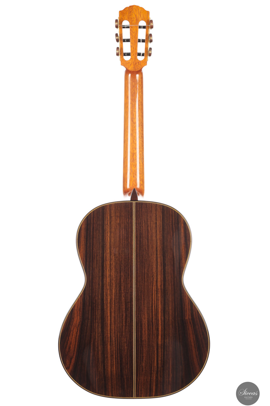 Siccas Luthiers - Synthesis Doubletop Spruce