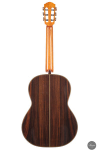 Siccas Luthiers - Synthesis Doubletop Spruce