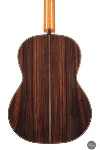 Siccas Luthiers - Synthesis Doubletop Spruce