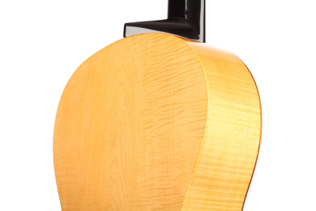 Simon Burgun - Stauffer 2017 CF