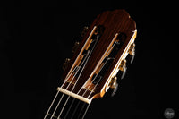 So Kimishima - 2025 - Stella Cedar 64 cm