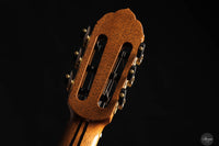 So Kimishima - 2025 - Stella Cedar 64 cm
