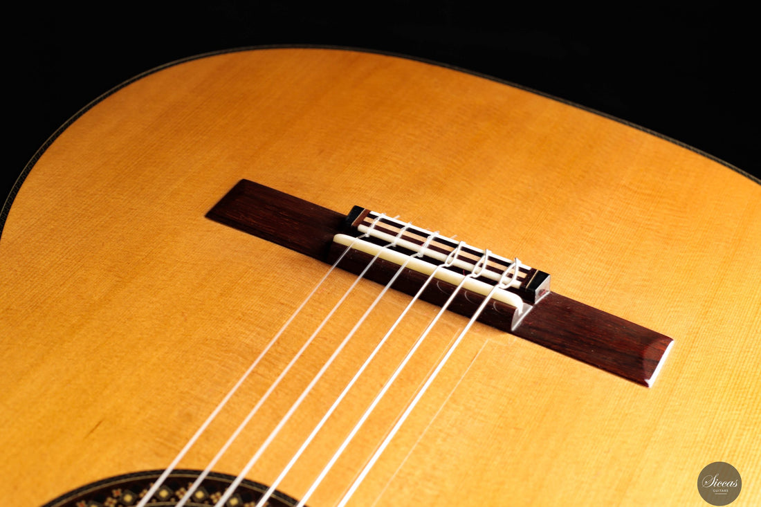 So Kimishima - 2025 - Stella Cedar 64 cm