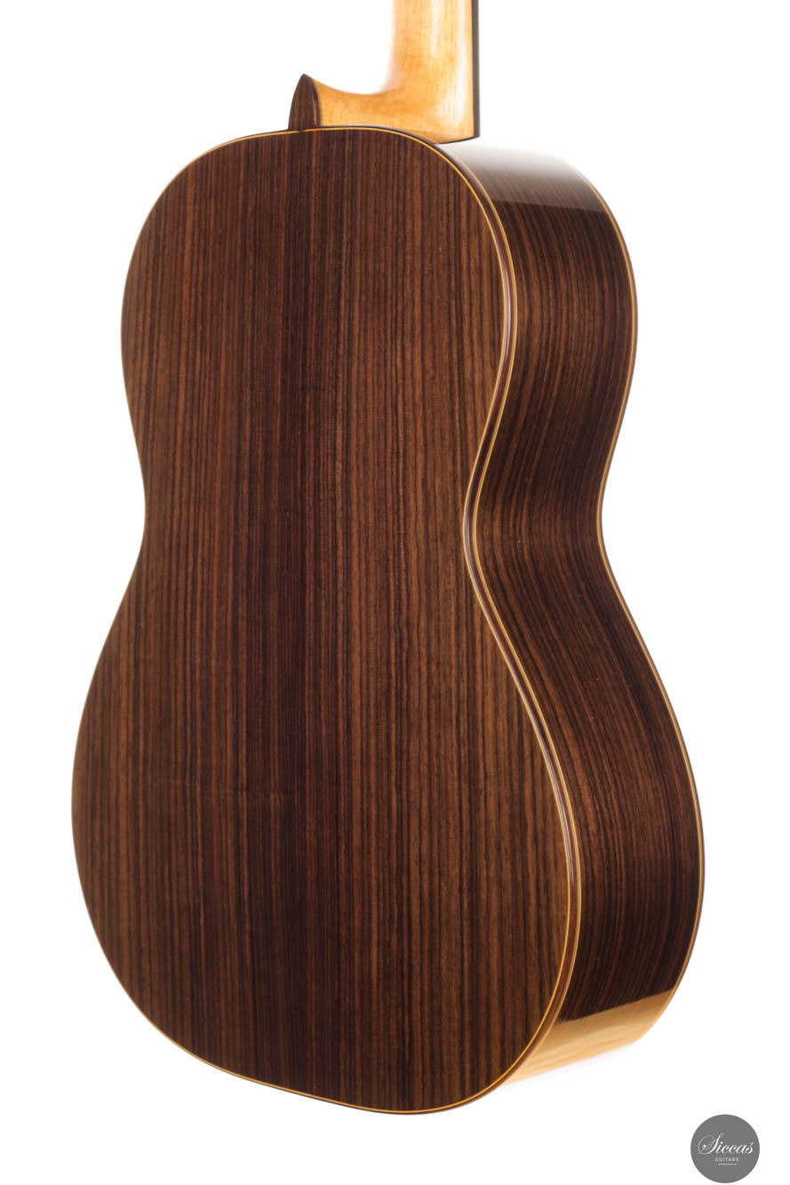 Steven Toon - 2024 - No. 118 DT - 64 cm