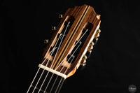 Steven Toon - 2024 - No. 118 DT - 64 cm