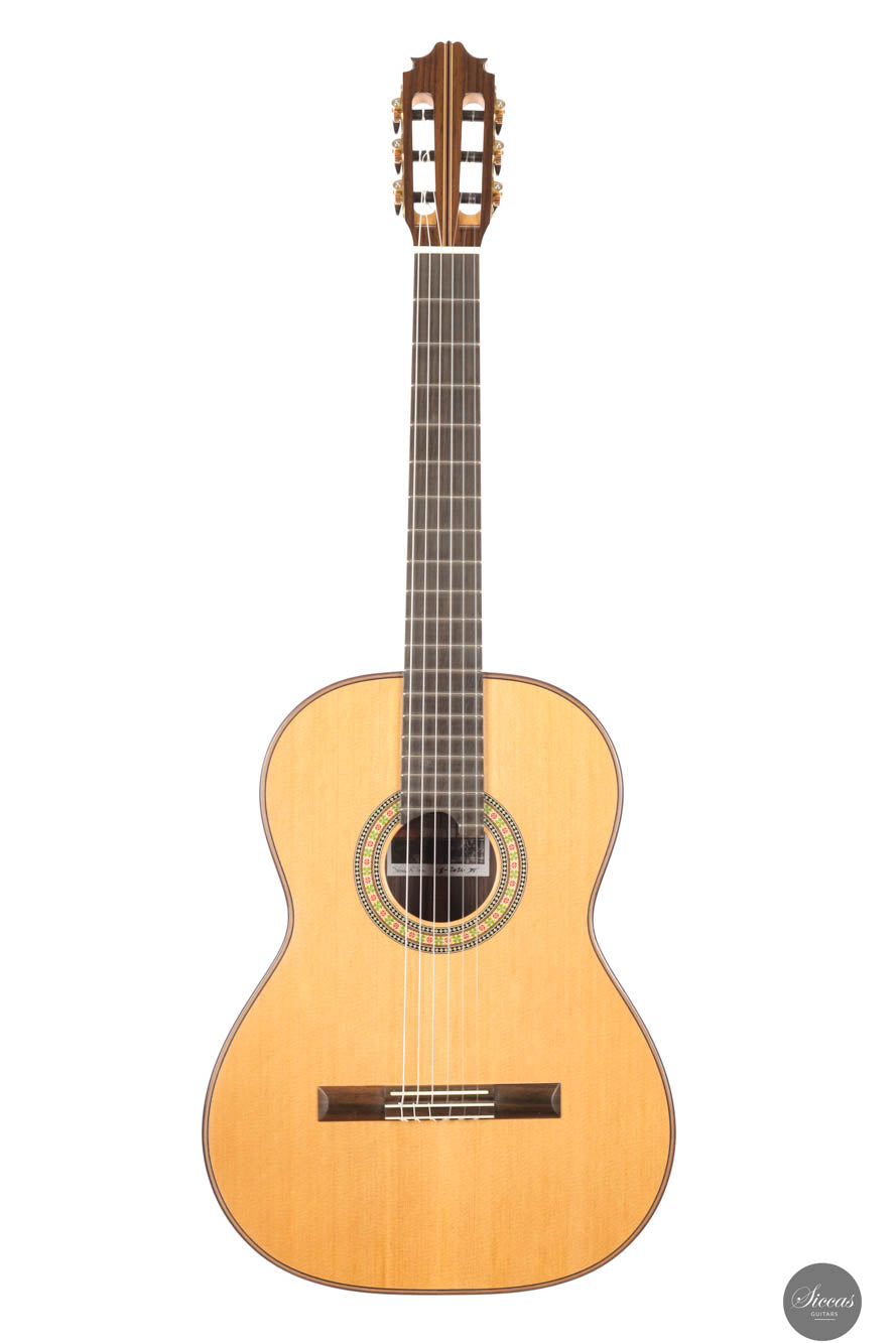 Steven Toon - 2024 - No. 118 DT - 64 cm