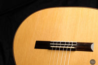 Steven Toon - 2024 - No. 118 DT - 64 cm