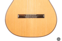Steven Toon - 2024 - No. 118 DT - 64 cm