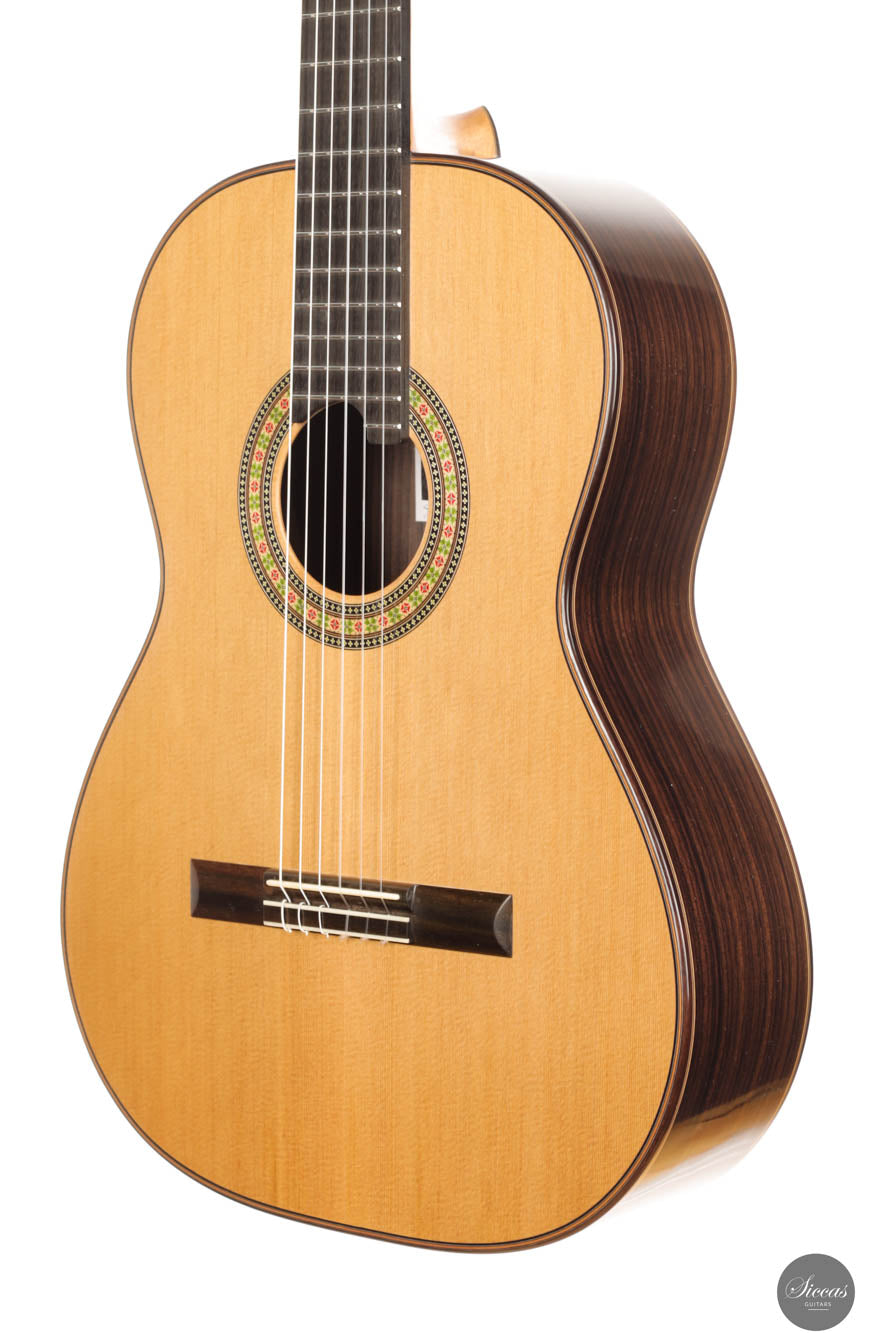 Steven Toon - 2024 - No. 118 DT - 64 cm